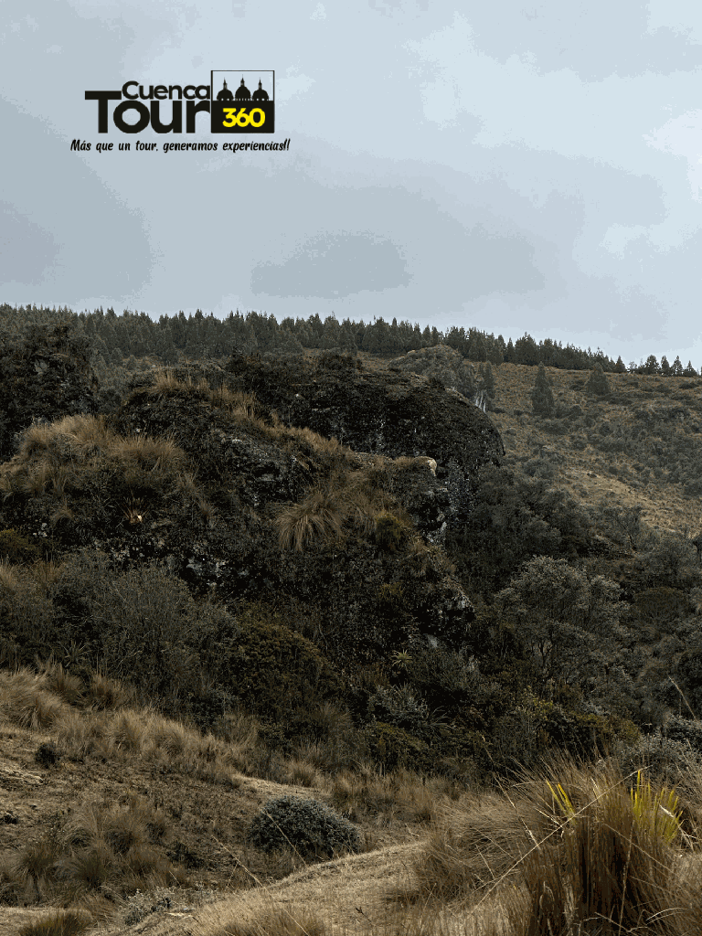 Diseño sin título (21).png