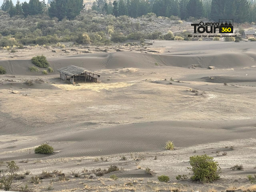 Diseño sin título (6).png