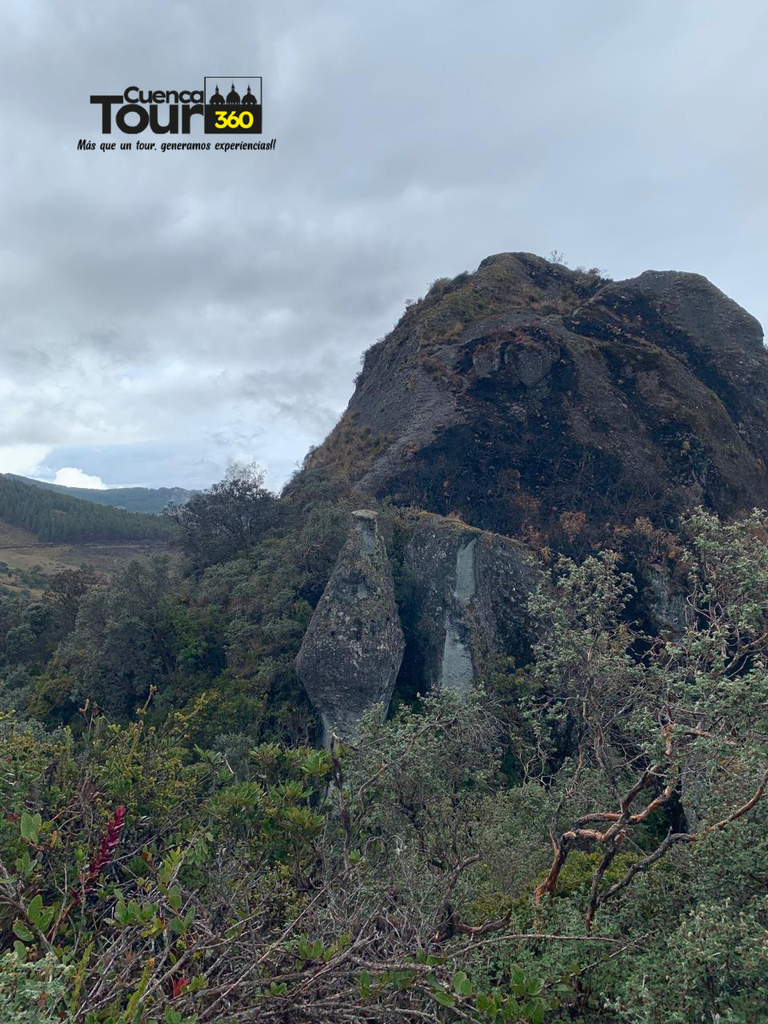 Diseño sin título (1).png