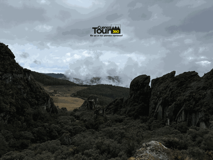 Carachula 360 Full Day