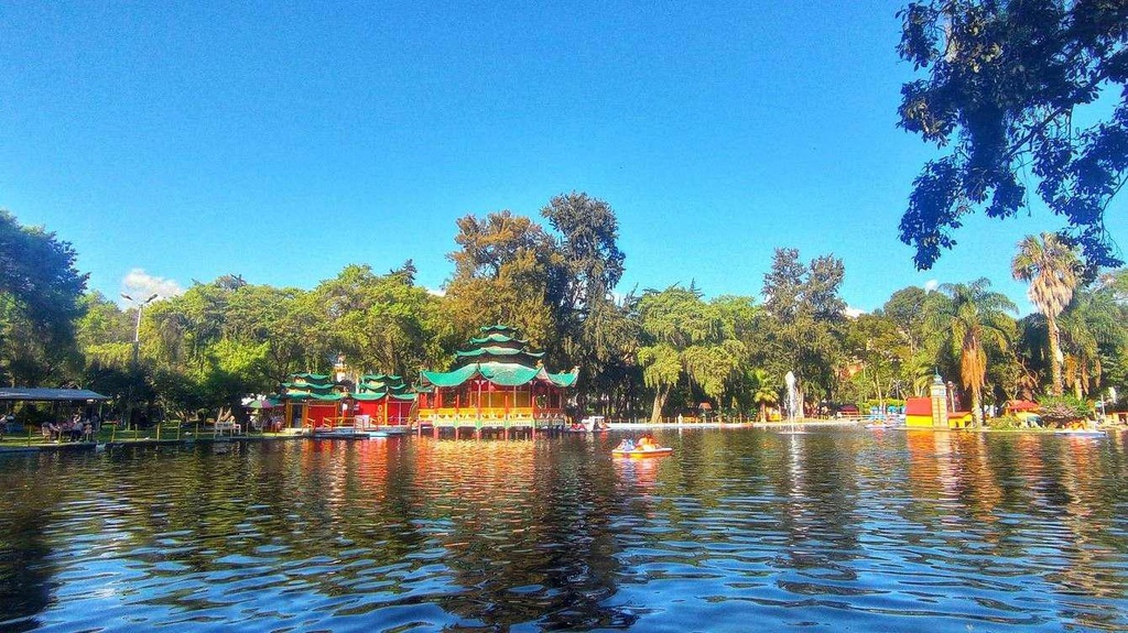 Cisne - Loja Full Day 360