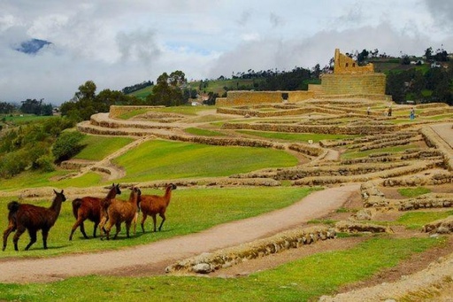 Tour Arqueológico 360