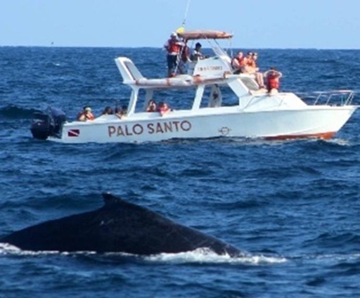 Tour Isla de Plata + Frailes 2D 1N 360